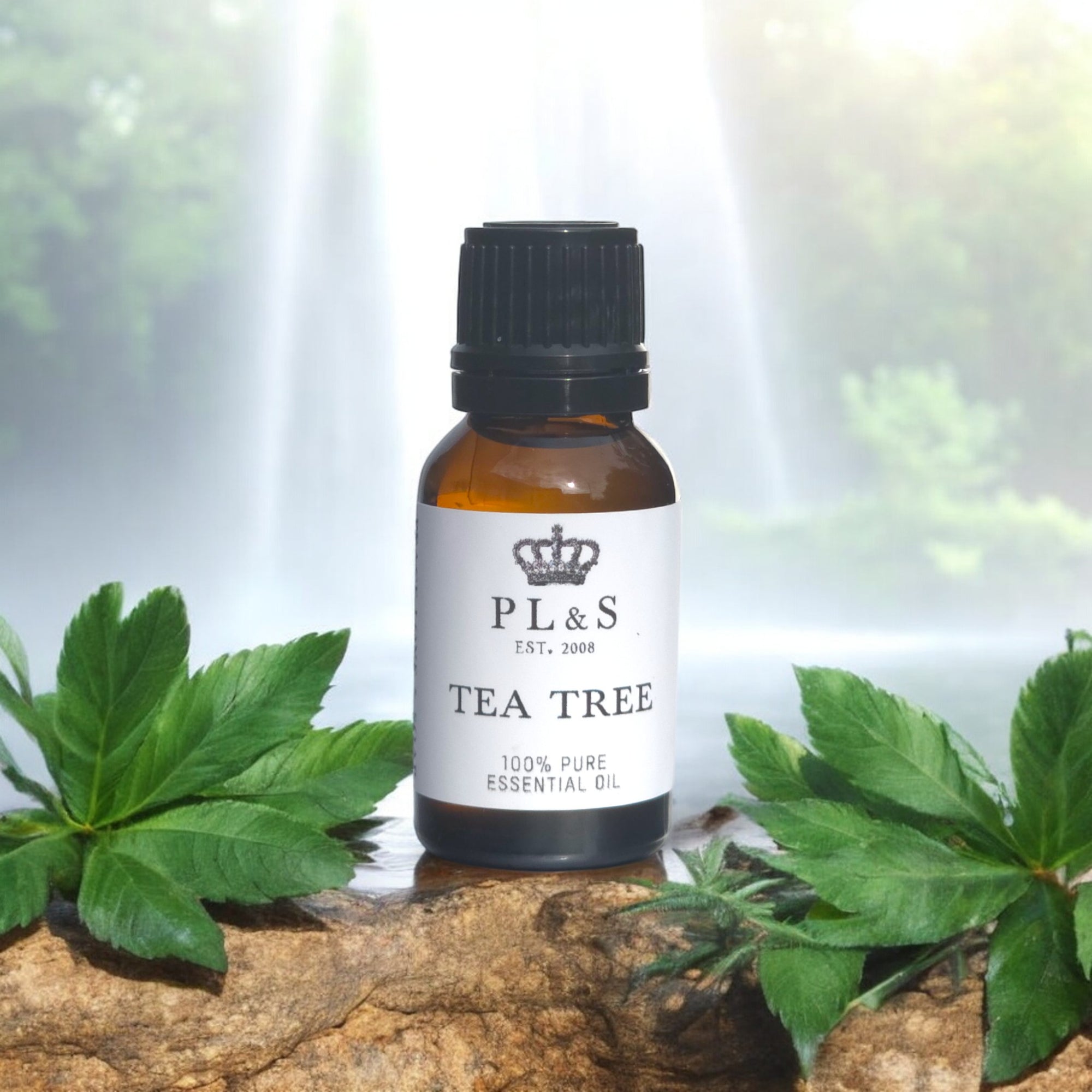 TEA TREE - Essential Oil